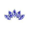 Top Marquise 5 points