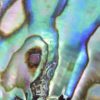 Piedra nacar