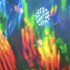 OP Mix Color