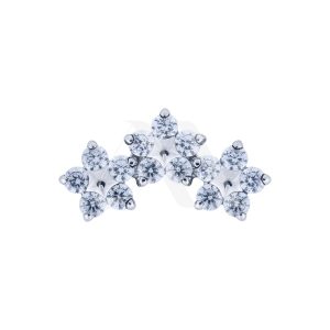 Top Cluster flores mini
